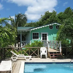 Palm , Castries Saint Lucia